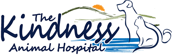 <span>Kindness Animal Hospital</span>
logo