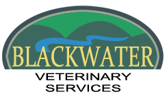 <span>Blackwater Veterinary Services</span>
logo