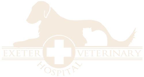 <span>Exeter Veterinary Hospital</span>
logo