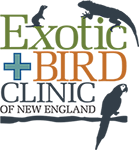 <span>Exotic and Bird Clinic of New England</span>
 logo