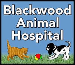 <span>Blackwood Animal Hospital</span>
logo