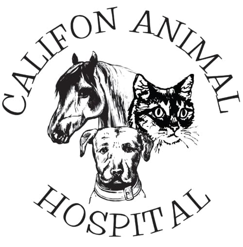 <span>Califon Animal Hospital</span>
logo