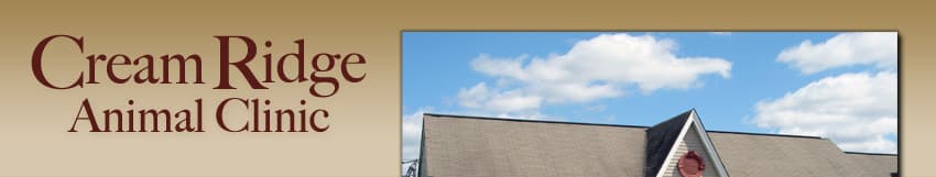 <span>Cream Ridge Veterinary Clinic</span>
logo