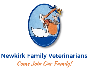 <span>Newkirk Family Veterinarians</span>
logo