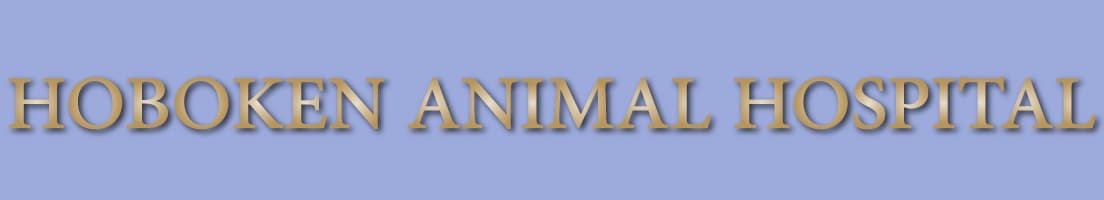 <span>Hoboken Animal Hospital</span>
logo