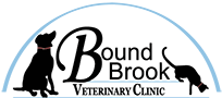 <span>Bound Brook Veterinary Clinic</span>
logo