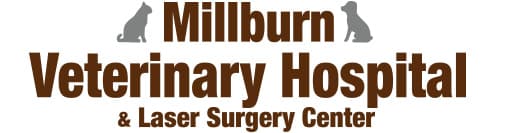 <span>Millburn Veterinary Hospital</span>
logo