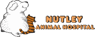 <span>Nutley Animal Hospital</span>
logo
