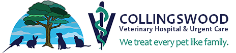 <span>Collingswood Veterinary Hospital</span>
logo