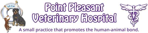 <span>Point Pleasant Veterinary Hospital</span>
logo