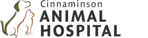 <span>Cinnaminson Animal Hospital</span>
logo