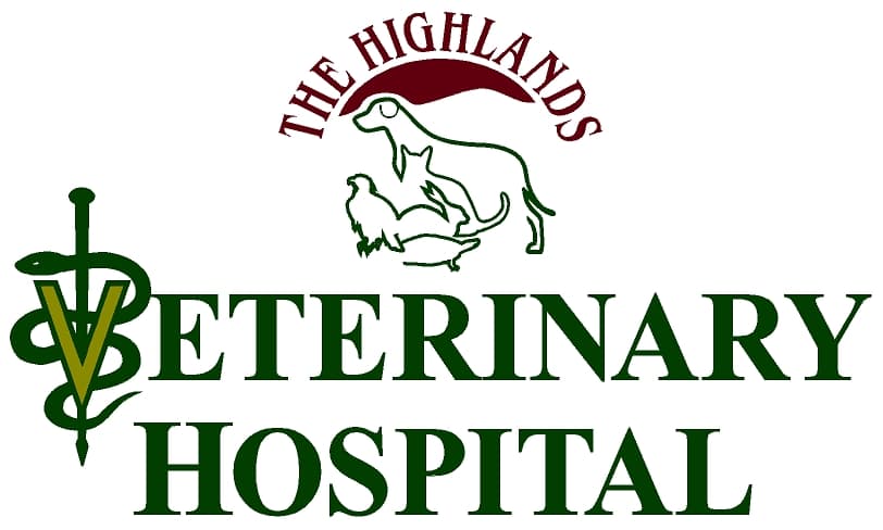 <span>Highlands Veterinary Hospital</span>
logo