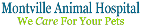 <span>Montville Animal Hospital</span>
logo