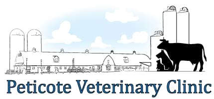 <span>Peticote Veterinary Clinic</span>
 logo