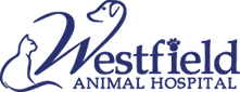<span>Westfield Animal Hospital</span>
logo