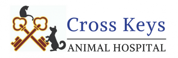 <span>Cross Keys Animal Hospital</span>
logo