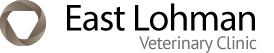 

<!-- THEME DEBUG -->
<!-- THEME HOOK: 'field' -->
<!-- FILE NAME SUGGESTIONS:
   * field--node--title--listing.html.twig
   x field--node--title.html.twig
   * field--node--listing.html.twig
   * field--title.html.twig
   * field--string.html.twig
   * field.html.twig
-->
<!-- BEGIN OUTPUT from 'core/themes/stable/templates/field/field--node--title.html.twig' -->
<span>East Lohman Veterinary Clinic</span>

<!-- END OUTPUT from 'core/themes/stable/templates/field/field--node--title.html.twig' -->

 logo