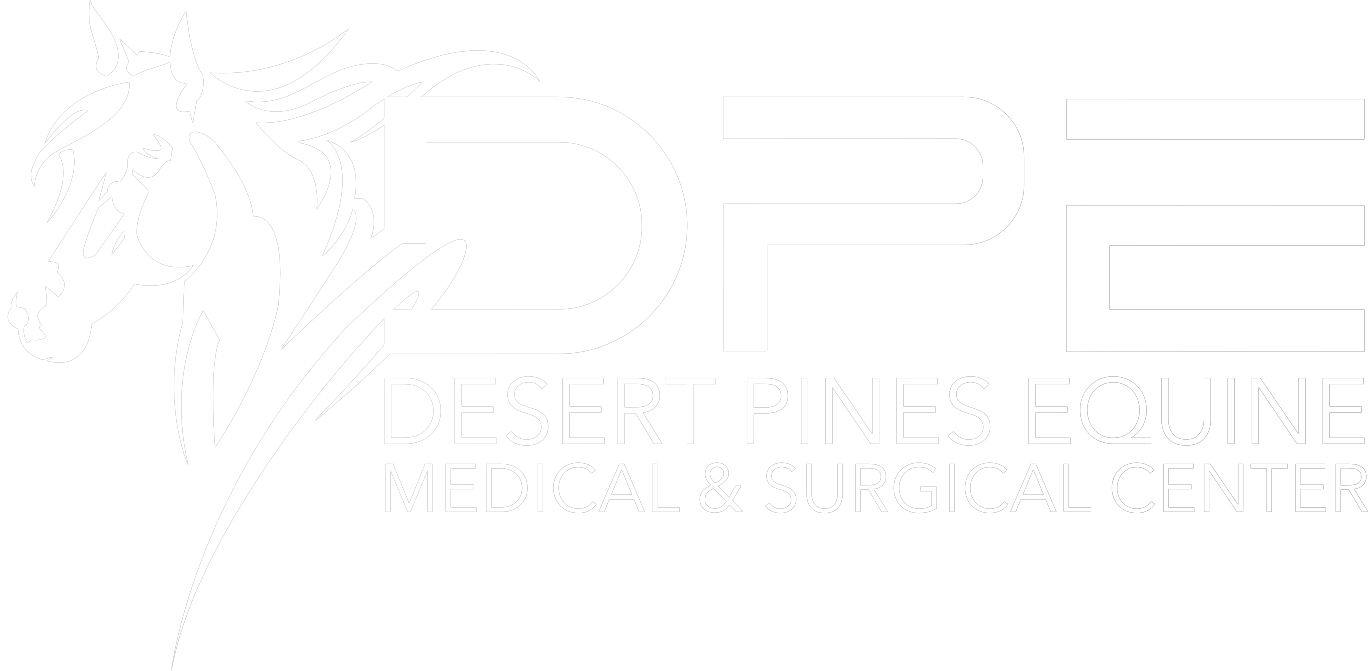 <span>Desert Pines Equine Center</span>
logo