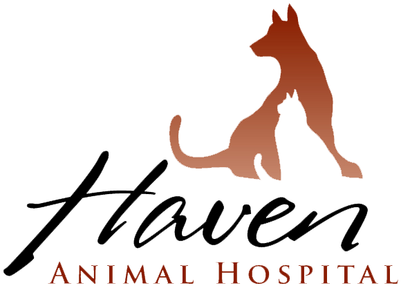 <span>Haven Animal Hospital</span>
logo