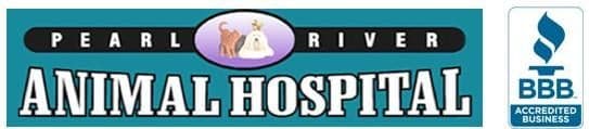 <span>Pearl River Animal Hospital</span>
logo