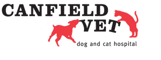 <span>Canfield Vet-Dog & Cat Hospital</span>
logo