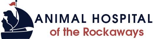 <span>Animal Hospital of The Rockaways</span>
logo