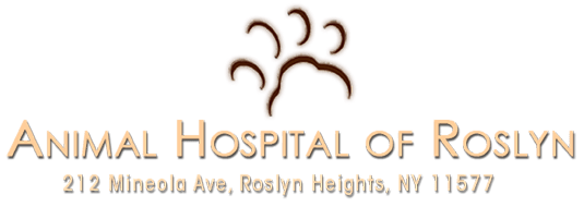 <span>Animal Hospital of Roslyn</span>
 logo