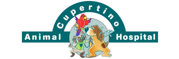 <span>Cupertino Animal Hospital</span>
logo