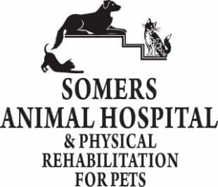 <span>Somers Animal Hospital</span>
logo