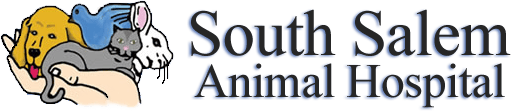 <span>South Salem Owners LLC</span>
logo
