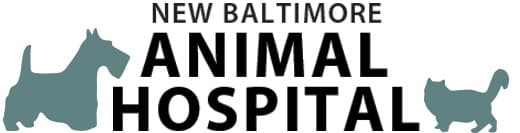 <span>New Baltimore Animal Hospital</span>
logo
