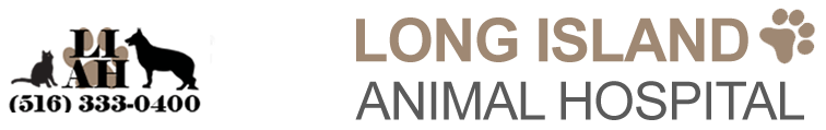 <span>Long Island Animal Hospital</span>
logo