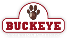 <span>Buckeye Veterinary Clinic LLC</span>
logo