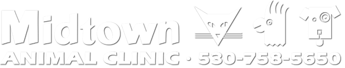 <span>Midtown Animal Clinic</span>
logo