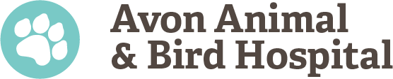 <span>Avon Animal & Bird Hospital Spayco Inc</span>
logo