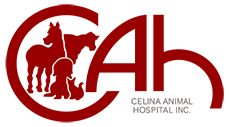 <span>Celina Animal Hospital Inc</span>
logo
