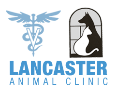 <span>Lancaster Animal Clinic</span>
logo