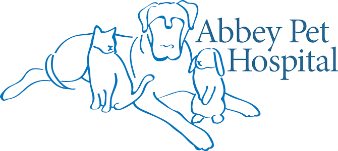 <span>Abbey Pet Hospital</span>
logo