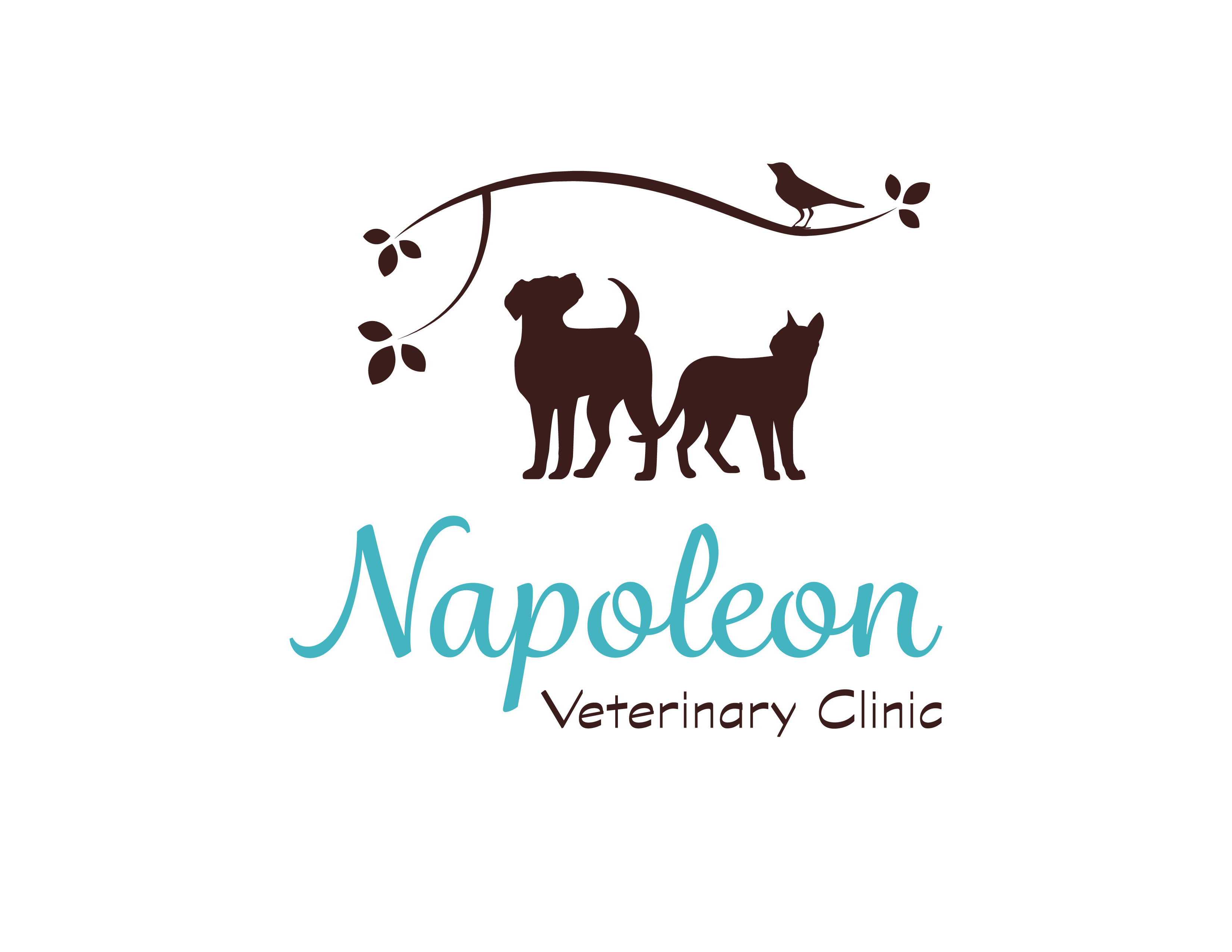 <span>Napoleon Veterinary Clinic Inc</span>
logo