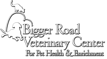 <span>Bigger Road Veterinary Clinic</span>
 logo