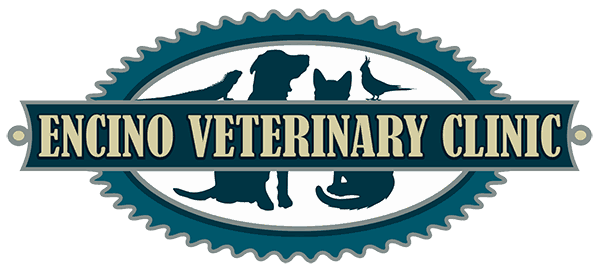 <span>Encino Veterinary Clinic</span>
logo