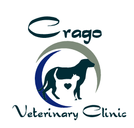 <span>V Cragoeterinary Clinic</span>
logo