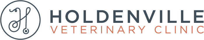 <span>Holdenville Veterinary Clinic</span>
logo
