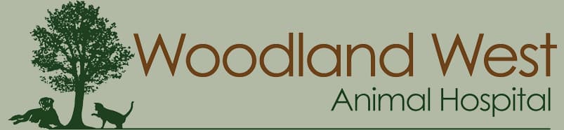 <span>Woodland West Animal Hospital</span>
logo
