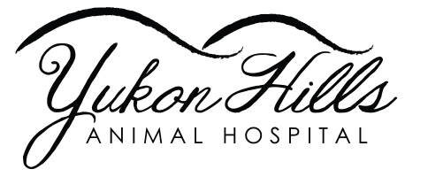 <span>Yukon Hill Animal Hospital</span>
logo