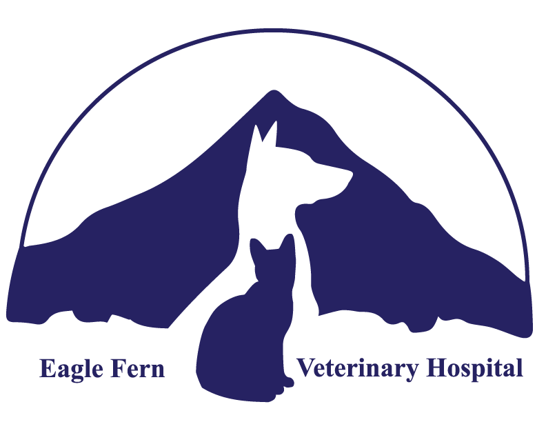<span>Eagle Fern Veterinary Hospital PC</span>
logo