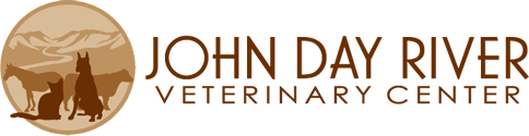 <span>John Day River Veterinary Center</span>
logo