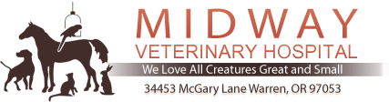 <span>Midway Veterinary Hospital</span>
logo