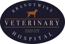 <span>Brandywine Veterinary Hospital</span>
logo
