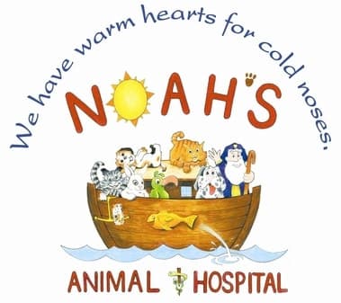 <span>Noahs Ark Veterinary Center Inc</span>
logo